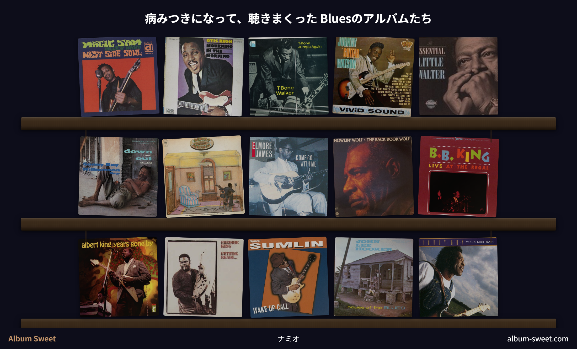 Blues のレコード棚（15 枚）